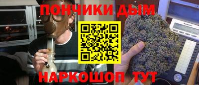 прущие грибы Краснокаменск