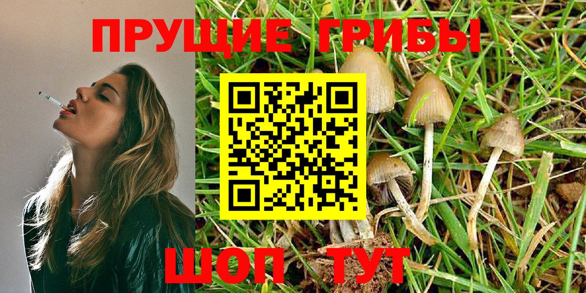 Галлюциногенные грибы Psilocybine cubensis Клин